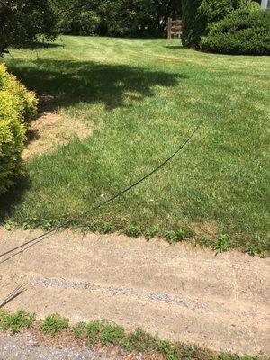 Verizon Fios wire running across street and front yard.