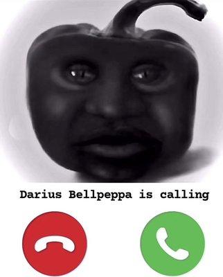 answer the phone