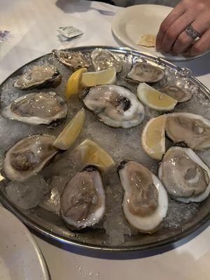 Raw oysters