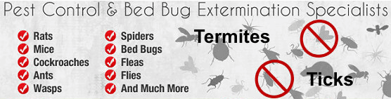 Techno Pest Management