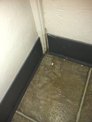 Move-in: Mildew and dirt  in wall corners