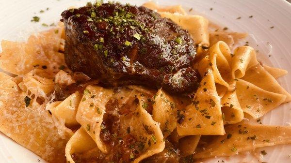 Beef stroganoff over papparadelle