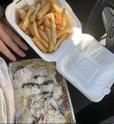 Falafel platter and fries