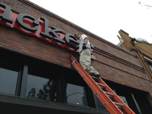 Getting rid of birds on your sign.