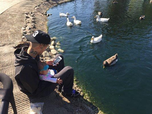 When my daughter was only 4 months old feeding ducks