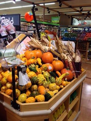 Seasonal squashes and Pumpkins.