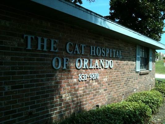 Cat Hospital