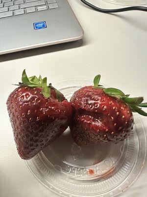 Fresh Fruit Bowl (310 cal)