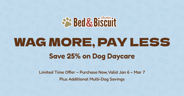 Join us for our Wag More, Pay Less event - give your pup the perfect daycare experience from 1/6/25 through 3/7/25 at a savings of 25%!