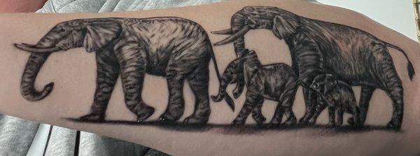 Elephant family on my forearm.  Photo is a little distorted because of the angle, looks way better in real life!