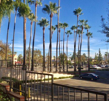 View of Chino Town Square shopping center, on Philadelphia Street in Chino.