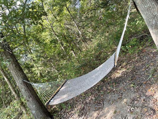 Several hammocks around the property