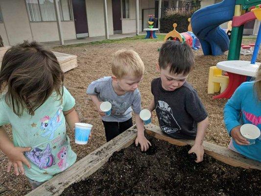 Planting seeds