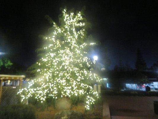 Memorial Arch, Saratoga, ca