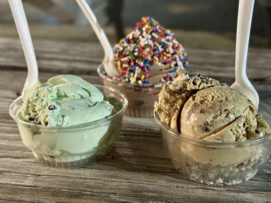 Mint Chocolate Chip, Chocolate with Rainbow Jimmies, Baked Alaska