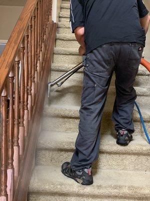 Stairs carpet cleaning