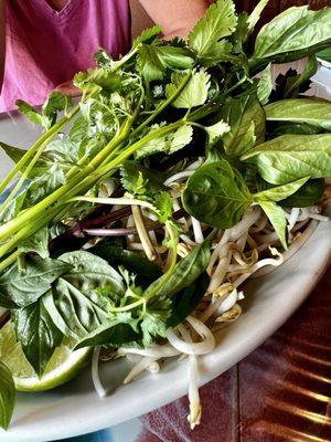 Green for beef Pho