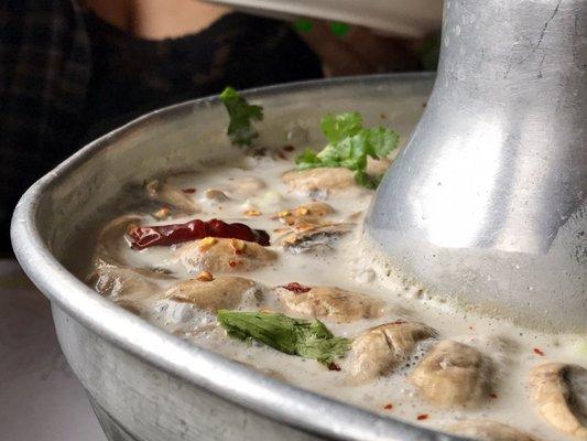 The Tom Kha soup is very solid here. Try it.