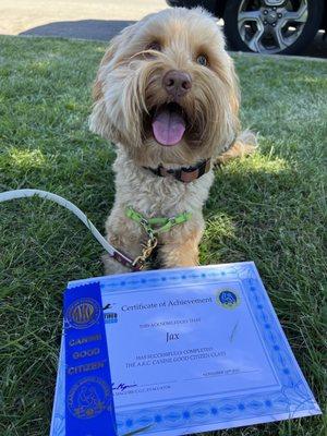 Jax being awarded CGC certificate