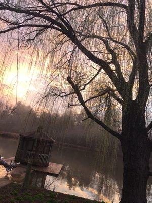 Our pond beside the clinic helps add to the peaceful and beautiful atmosphere of our practice.