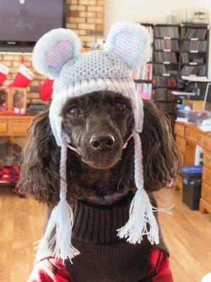 Dusty with his new hat