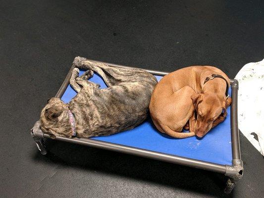 Friends share at daycare.