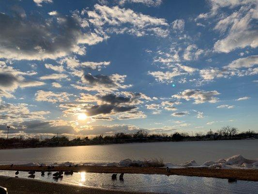 Ducks found a little spot of melted ice but this entire part of the lake was frozen