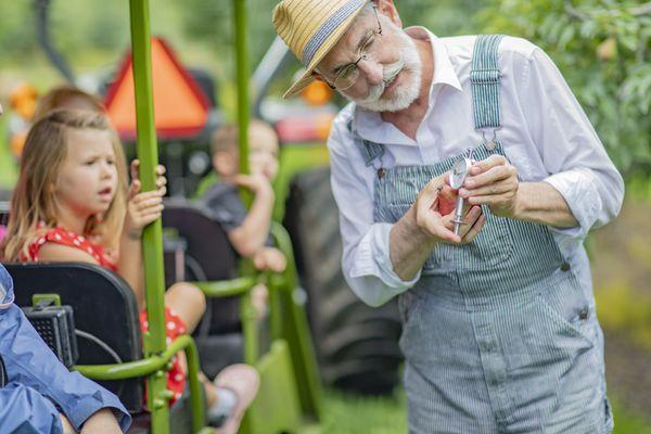 Orchard Tours