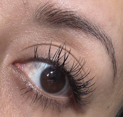 24 hrs after Alisa did my eyelash extensions