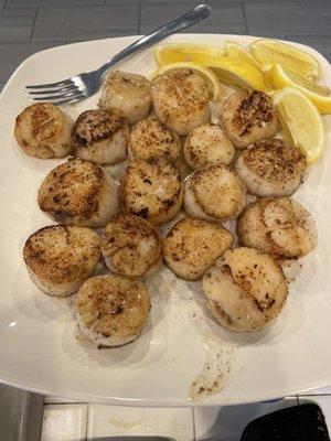 Scallops