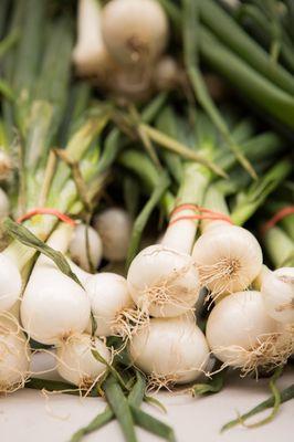 South Loop Farmers Market