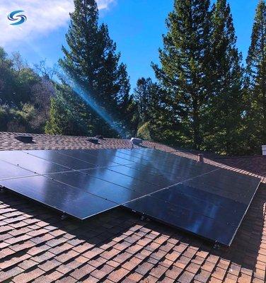 All Black Panels and Trees Roof View