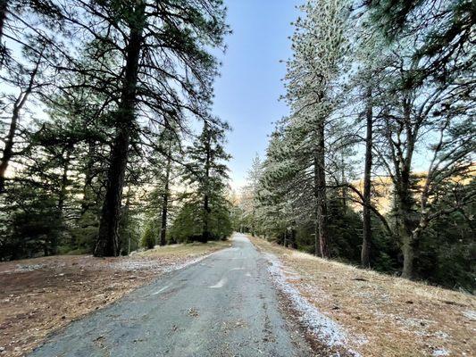 Winter walk through the campground