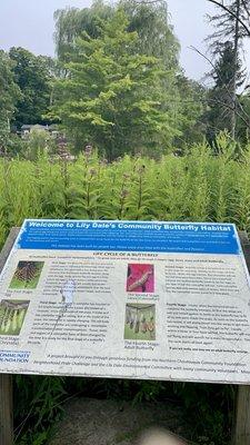 Lily Dale Community Butterfly Habitat