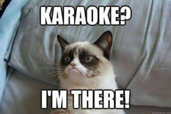 We have Karaoke every night!