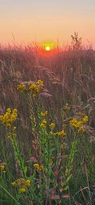 Lac Qui Parle State Park