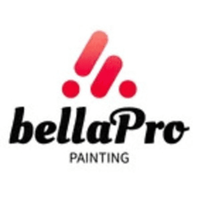 Bellapro Painting