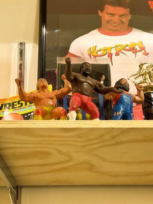 Wrestling figures