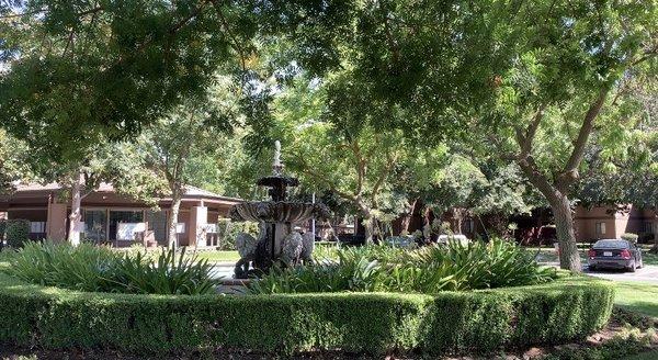 Really love this fountain; it's so pretty and serene! Weekly landscapers keep the grounds really nice and clean.