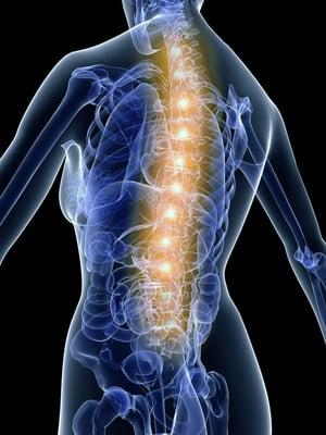 Spinal care and Neck pain