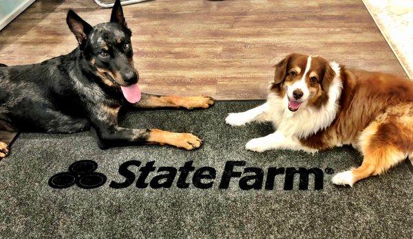 Lauren Gibson State Farm has NO Breed Restrictions!