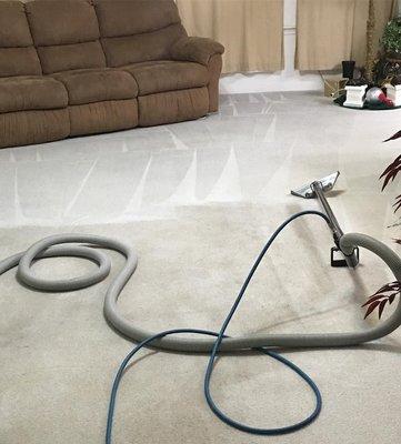 A sample of our carpet cleaning.