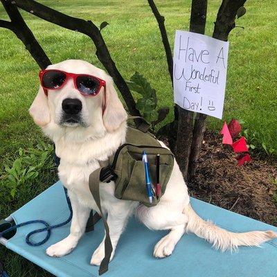 Finney wishing her human siblings luck on their first day back to school