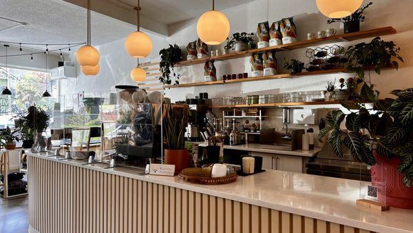 The coffee bar is peppered with live plants and feels so relaxing