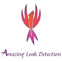 Amazing Leak Detection