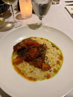 cobia over risotto