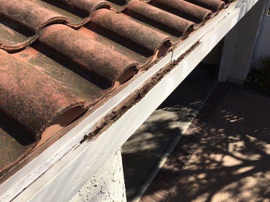 They primed and left the front lower fascia board over the garage, even though it's rotted through and crumbles to the touch