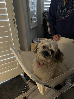 Simon doing laundry