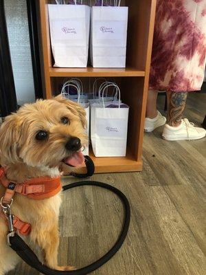 Koko was excited to attend the grand opening and take home her swag bag! #kokoapproved