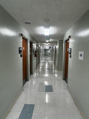 creepy corridors